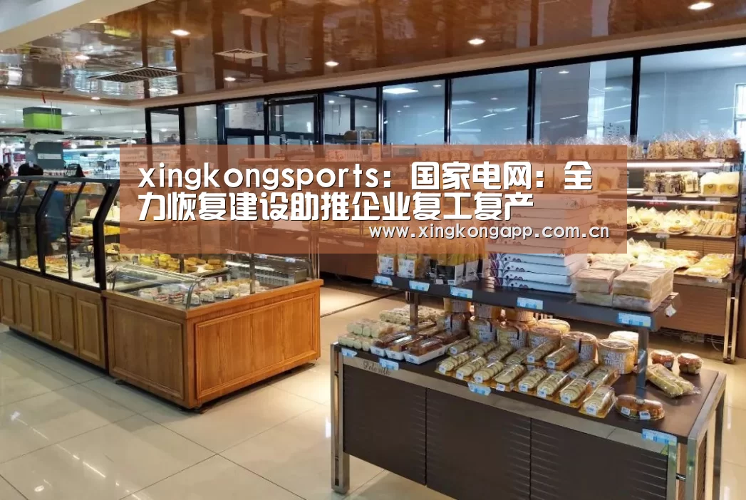 xingkongsports：国家电网：全力恢复建设助推企业复工复产(图2)