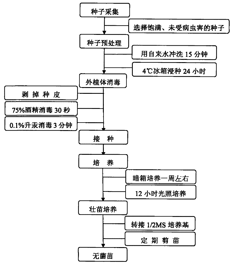 xingkongsports-Russell Brown反对LEHMAN BUSH商标的注册以失败告终(图1) 星空体育APP