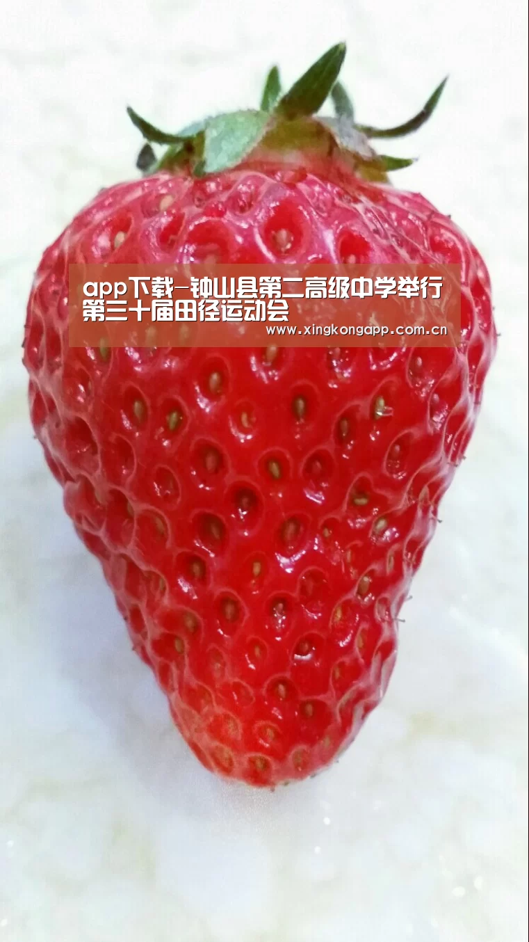 app下载-钟山县第二高级中学举行第三十届田径运动会(图1) app下载-钟山县第二高级中学举行第三十届田径运动会(图1)