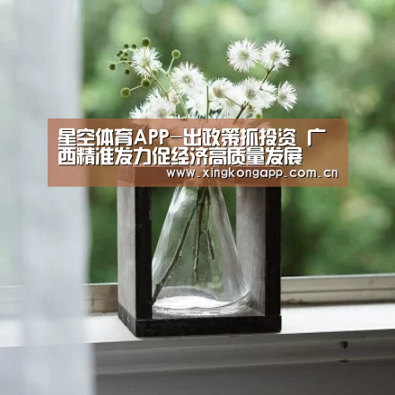 星空体育APP-出政策抓投资 广西精准发力促经济高质量发展(图1) 星空体育