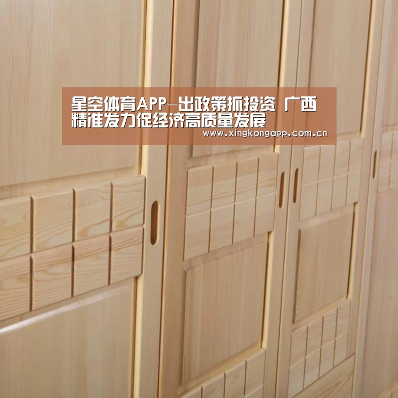 星空体育APP-出政策抓投资 广西精准发力促经济高质量发展(图4) app下载