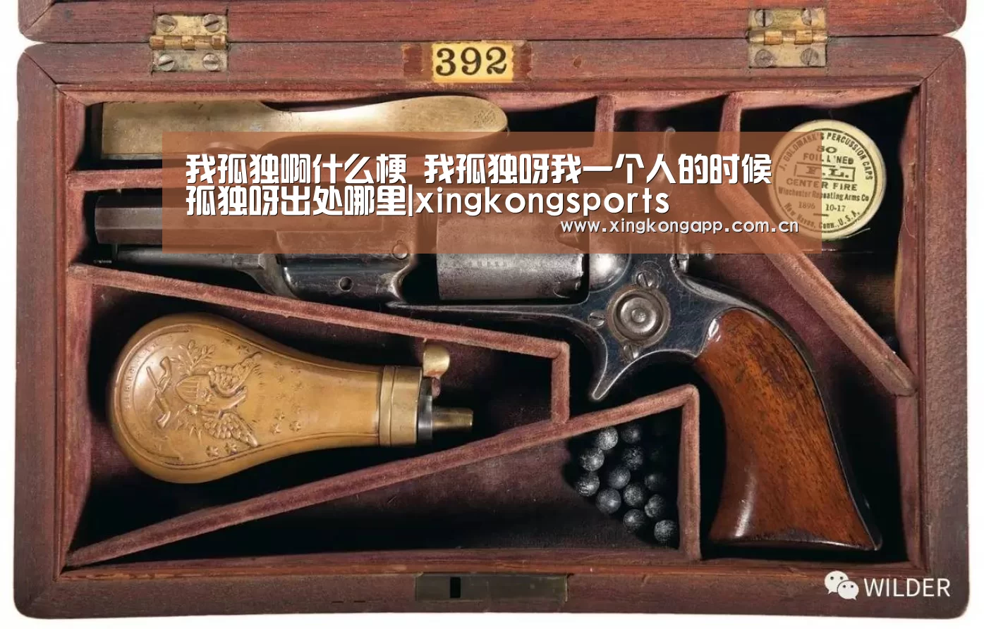 我孤独啊什么梗 我孤独呀我一个人的时候孤独呀出处哪里|xingkongsports(图1) 我孤独啊什么梗 我孤独呀我一个人的时候孤独呀出处哪里|xingkongsports(图1)