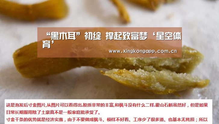 app下载