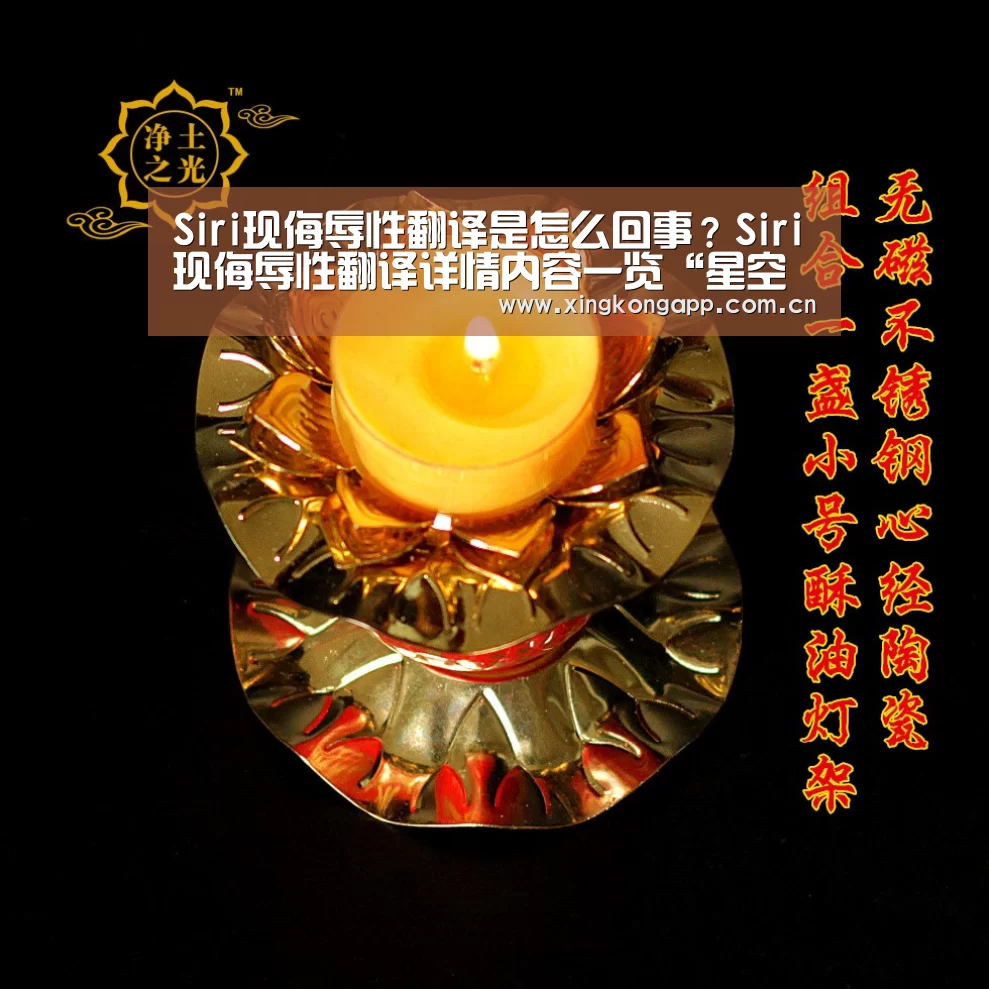 Siri现侮辱性翻译是怎么回事?Siri现侮辱性翻译详情内容一览“星空体育”(图3) 星空体育APP