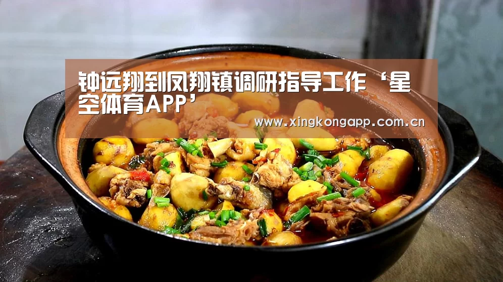 钟远翔到凤翔镇调研指导工作‘星空体育APP’(图4) 星空体育APP