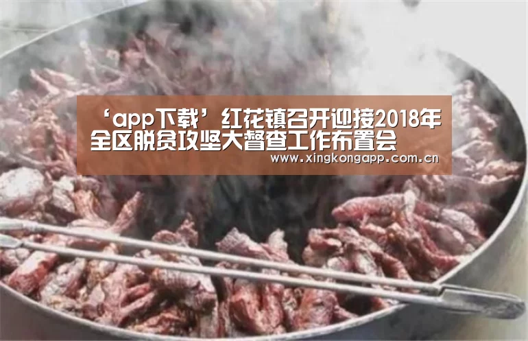 app下载