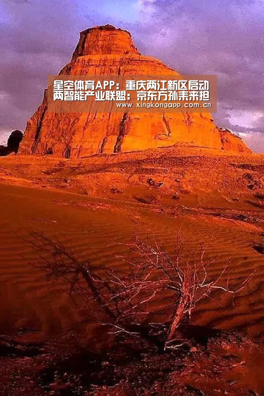 星空体育APP:重庆两江新区启动两智能产业联盟:京东方孙耒来担任理事长(图3) 星空体育APP