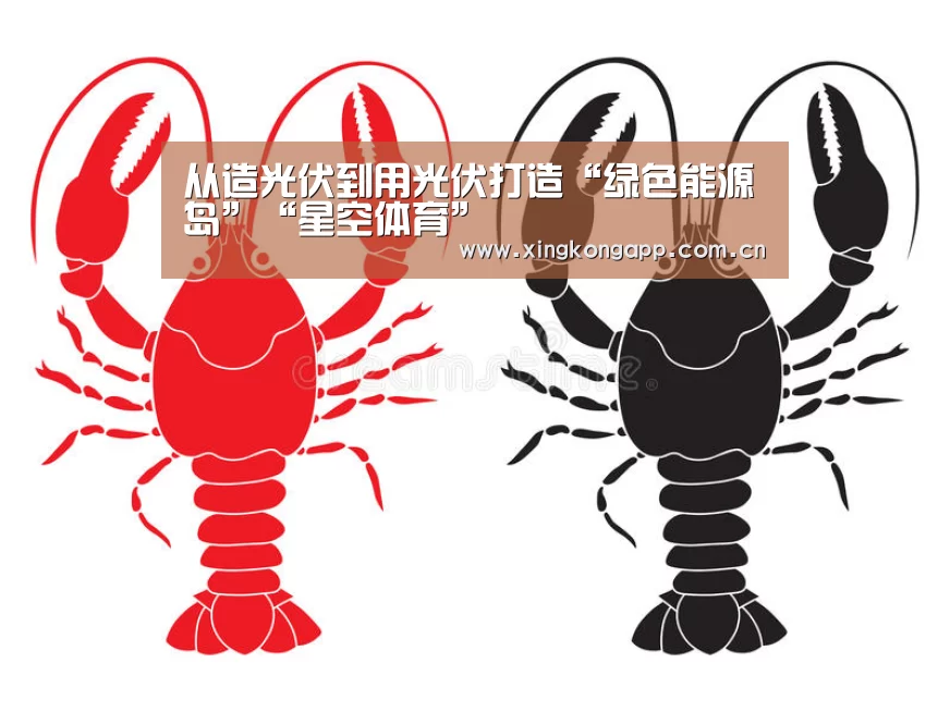 app下载