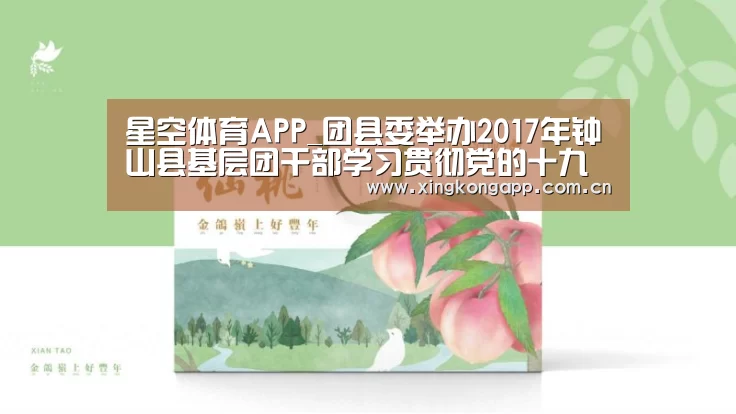 星空体育APP_团县委举办2017年钟山县基层团干部学习贯彻党的十九大精神暨“青春引擎”培训班(图2)