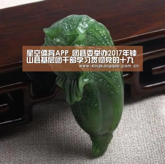 星空体育APP_团县委举办2017年钟山县基层团干部学习贯彻党的十九大精神暨“青春引擎”培训班(图3)