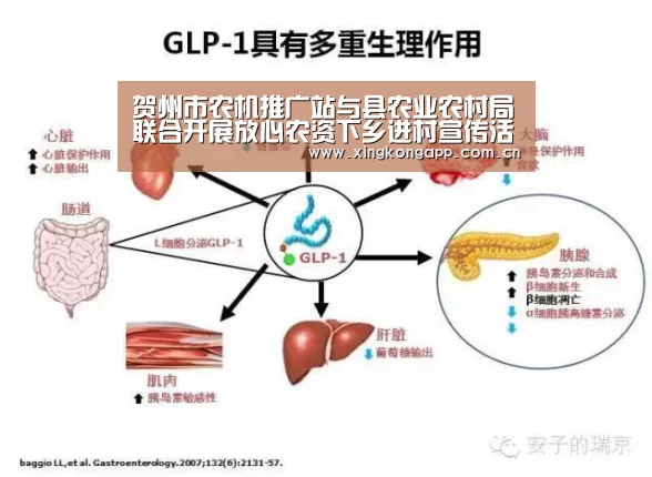 app下载